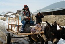 Телеведущий Забир Алиев о великолепии деревенской жизни: "Там все настоящее!" (фотосессия)