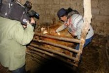 Телеведущий Забир Алиев о великолепии деревенской жизни: "Там все настоящее!" (фотосессия)