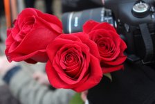 В древней части Баку состоится акция "Каждой женщине - по цветку" (фото)