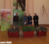 В Баку открылась выставка "Краски Новруза": "Тепло работ согреет души" (фотосессия)