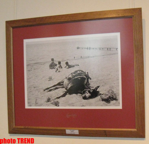 В Баку открылась выставка "Одна нация - два государства" (фотосессия)