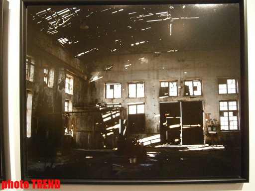 "Жидкая земля" Рены Эфенди - от социальной фронтальности Апшерона до бабочек (фотосессия)