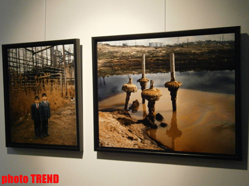 "Жидкая земля" Рены Эфенди - от социальной фронтальности Апшерона до бабочек (фотосессия)