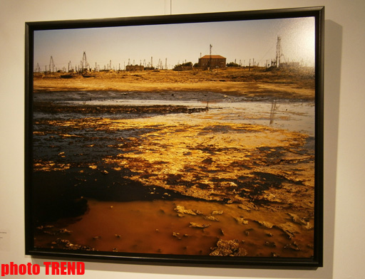 "Жидкая земля" Рены Эфенди - от социальной фронтальности Апшерона до бабочек (фотосессия)