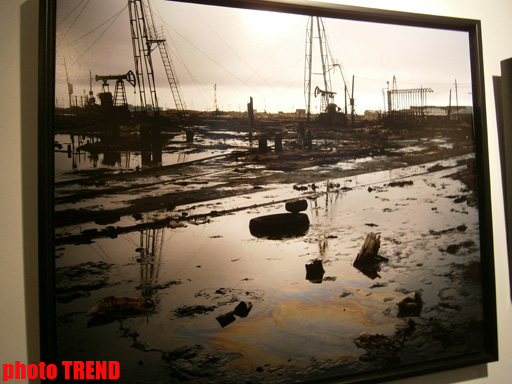 "Жидкая земля" Рены Эфенди - от социальной фронтальности Апшерона до бабочек (фотосессия)