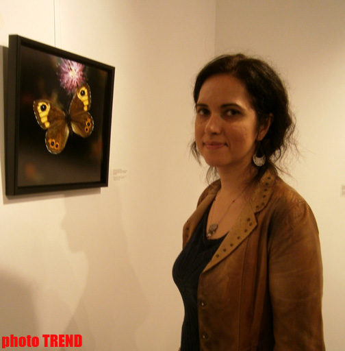 "Жидкая земля" Рены Эфенди - от социальной фронтальности Апшерона до бабочек (фотосессия)