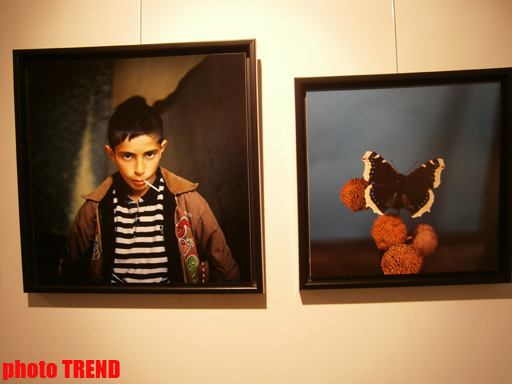 "Жидкая земля" Рены Эфенди - от социальной фронтальности Апшерона до бабочек (фотосессия)