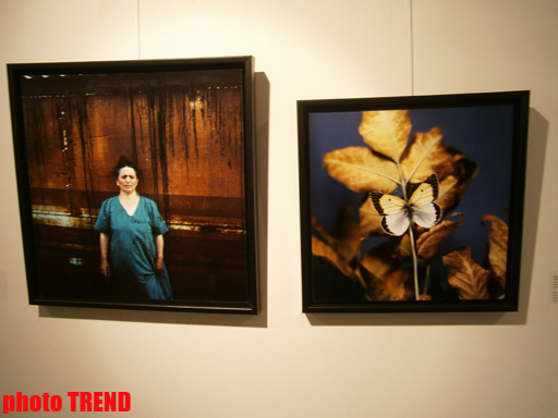 "Жидкая земля" Рены Эфенди - от социальной фронтальности Апшерона до бабочек (фотосессия)