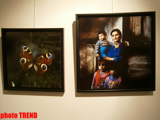 "Жидкая земля" Рены Эфенди - от социальной фронтальности Апшерона до бабочек (фотосессия)