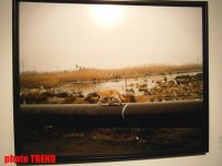 "Жидкая земля" Рены Эфенди - от социальной фронтальности Апшерона до бабочек (фотосессия)