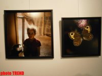 "Жидкая земля" Рены Эфенди - от социальной фронтальности Апшерона до бабочек (фотосессия)