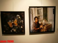 "Жидкая земля" Рены Эфенди - от социальной фронтальности Апшерона до бабочек (фотосессия)