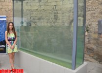 Организация YARAT! представила проект Назрин Мамедовой "Каспий" (фото)