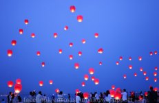 Сотни горящих фонариков в небе Баку (фотосессия, видео)