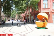 Новый облик Гянджи (фотосессия)