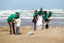 Состоялся субботник по очистке пляжной зоны в поселке Шувелян (фото)