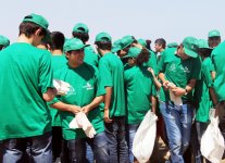 Состоялся субботник по очистке пляжной зоны в поселке Шувелян (фото)