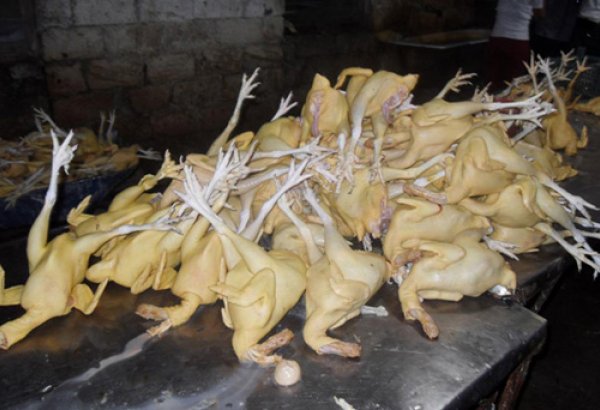 В двух объектах в Баку выявлены грубые нарушения при забое домашней птицы (ФОТО)