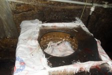 Выявлены серьезные нарушения гигиенических норм при забое кур (фото)