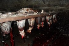Выявлены серьезные нарушения гигиенических норм при забое кур (фото)