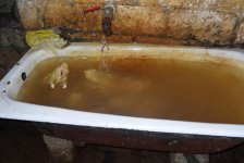 Выявлены серьезные нарушения гигиенических норм при забое кур (фото)