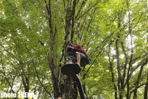 В Азербайджане снят триллер "Пойми меня" - героиня в образе Анджелины Джоли и Милы Йовович (фотосессия)