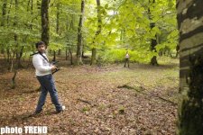 В Азербайджане снят триллер "Пойми меня" - героиня в образе Анджелины Джоли и Милы Йовович (фотосессия)