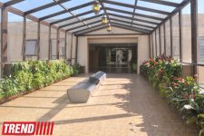 В Баку состоялось торжественное открытие "Baku Modern School" (фотосессия)