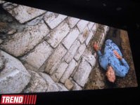 В Баку состоялся премьерный показ фильма Мурада Ибрагимбекова "И не было лучше брата" (фото)