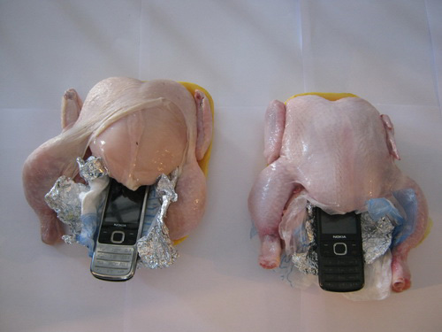 В Азербайджане пресечена попытка передачи в исправительное учреждение мобильных телефонов (ФОТО)