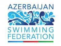 Федерация плавания Азербайджана заключит соглашение с известным тренером Андреа ди Нино