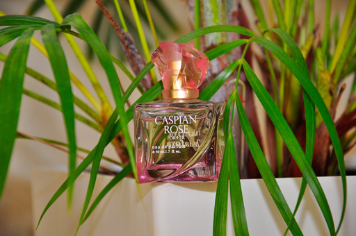 Фахрия Халафова предлагает провести в Азербайджане "День парфюмерии" (фотосессия)