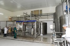 Президент Ильхам Алиев принял участие в открытии молокозавода в Тертере (ФОТО)