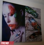 Искусство живописи на ногтях - выставка Ульвии Мусаевой в Баку (фотосессия)