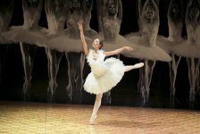 В Баку состоялся бал "Black and White" (фотосессия)