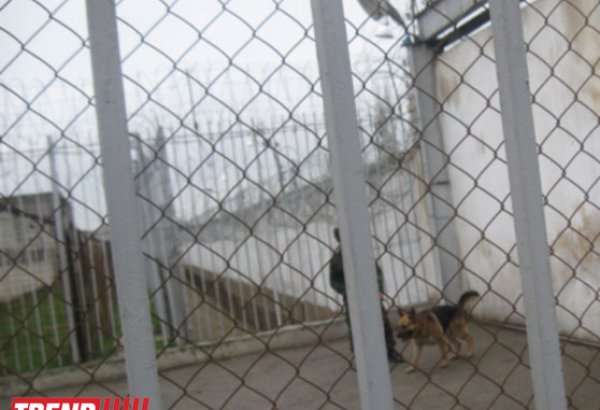 В пенитенциарных органах Азербайджана произведены кадровые перестановки