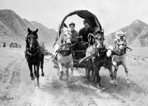 Шедевры азербайджанского кинематографа (фотосессия)