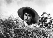 Шедевры азербайджанского кинематографа (фотосессия)