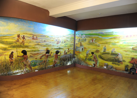 Президент Азербайджана принял участие в открытии нового здания Историко-краеведческого музея и Художественной галереи в Саатлы (ФОТО)