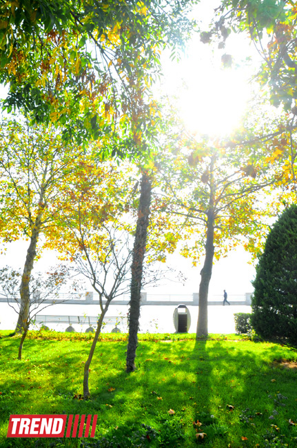 "Золотая осень" в Баку (фотосессия)