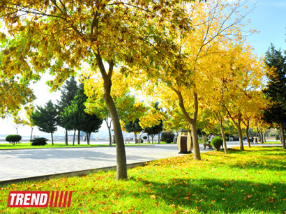 "Золотая осень" в Баку (фотосессия)