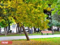 "Золотая осень" в Баку (фотосессия)