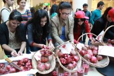 В Азербайджане состоится праздничный концерт, посвященный Фестивалю граната (фото)