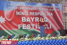 Фестиваль в Баку, посвященный Дню государственного флага (фотосессия)