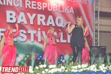 Фестиваль в Баку, посвященный Дню государственного флага (фотосессия)