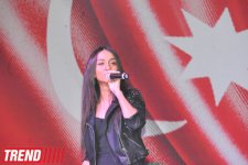 Фестиваль в Баку, посвященный Дню государственного флага (фотосессия)