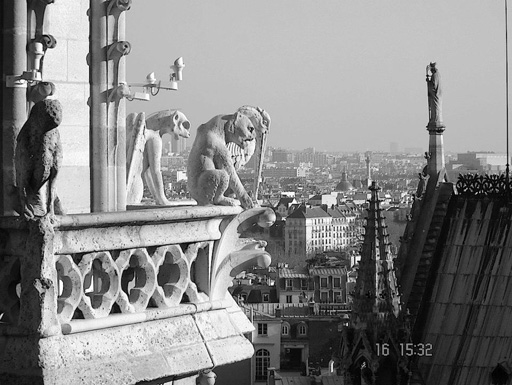 Черно-белый Париж глазами Вугара Мурадова (фотосессия)