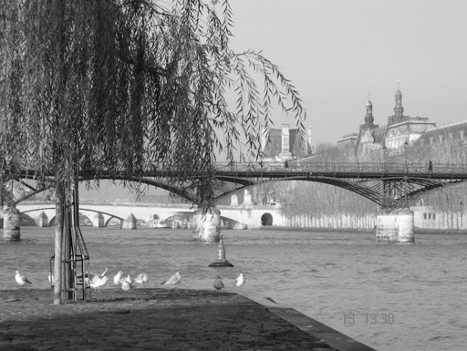 Черно-белый Париж глазами Вугара Мурадова (фотосессия)