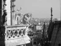 Черно-белый Париж глазами Вугара Мурадова (фотосессия)