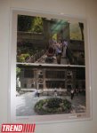 Мы проехали одну четвертую часть Азербайджана - фотохудожник Владимир Богдановский (фотоcессия)